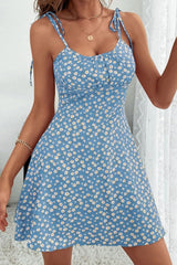 Peacock Blue