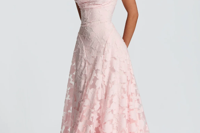 Women's Lace Column Maxi Dress | Elegant Figure-Hugging Evening Gown