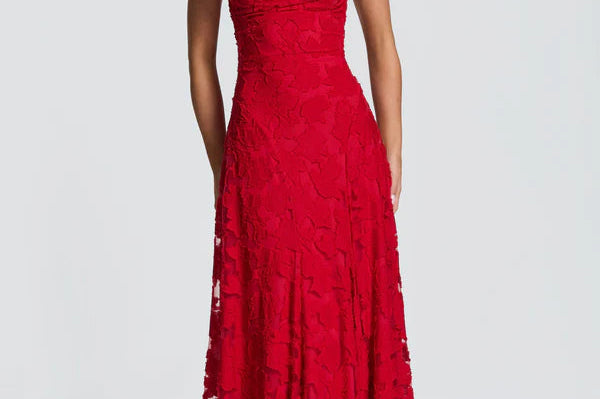 Women's Lace Column Maxi Dress | Elegant Figure-Hugging Evening Gown