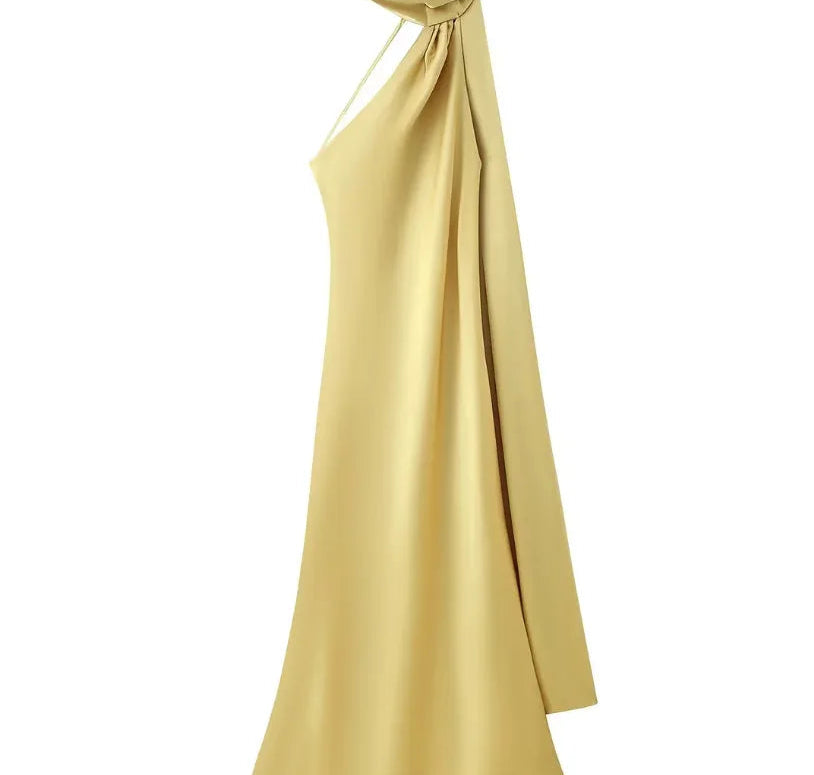 Evening Gowns | Elegant Halter Neck Maxi Dress with Open Back 11