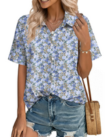 Blue/White