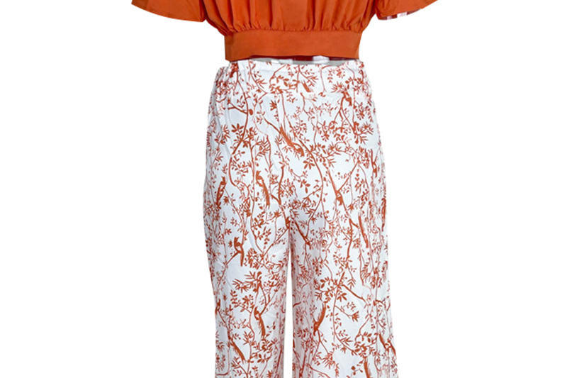 Genevra - Women's Cropped Shirt and Printed Wide-Leg Pants Set